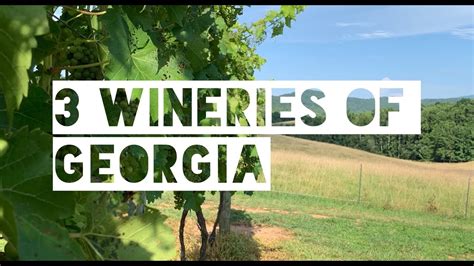 Tour North Georgia Wineries 3 Great Choices Youtube