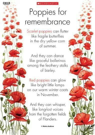 Remembrance Day Meaning Of The Poppy
