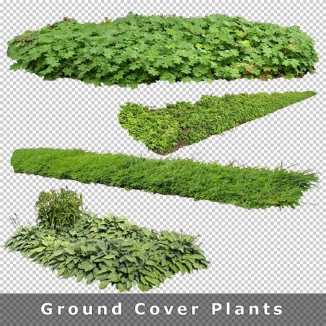 Cutout Plants V Graphics For Architecture Visualization