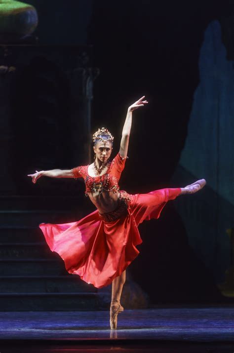 La Bayaderethe Royal Balletroh Covent Gardensolor Steven Mcrae