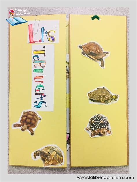 Proyecto De Animales Lapbook Tortugas Reptiles Primaria Trabajo En