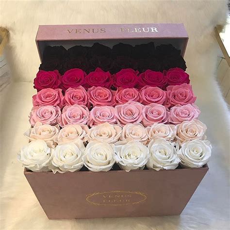 Check spelling or type a new query. Venus ET Fleur | Venus ET Fleur® Roses that last for a ...