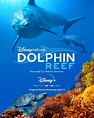 Dolphin Reef : Extra Large Movie Poster Image - IMP Awards