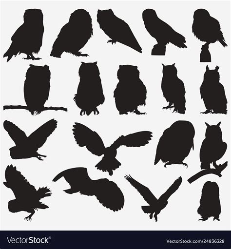 Owl Silhouettes Royalty Free Vector Image Vectorstock