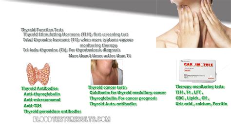 What Blood Test For Thyroid Gland Function And Cancer Blood Test