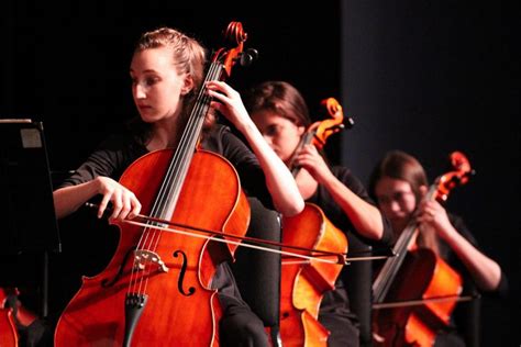 The Muse Strings Orchestra Concert Resonates In Meyer Hall