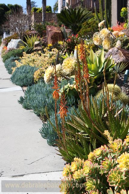 Succulent Gardens Éclectique Jardin San Diego Par Debra Lee