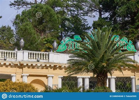 Arboretum Signboard Covered With Palm Tree In Sochi Editorial Stock