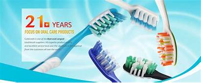 Toothpaste Mint Professional Tartar Cavity Brc Gmpc