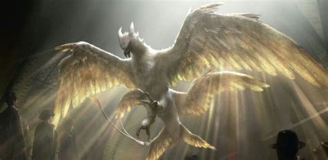 Resultat Dimatges De Thunderbird Harry Potter Animales FantÁsticos Y