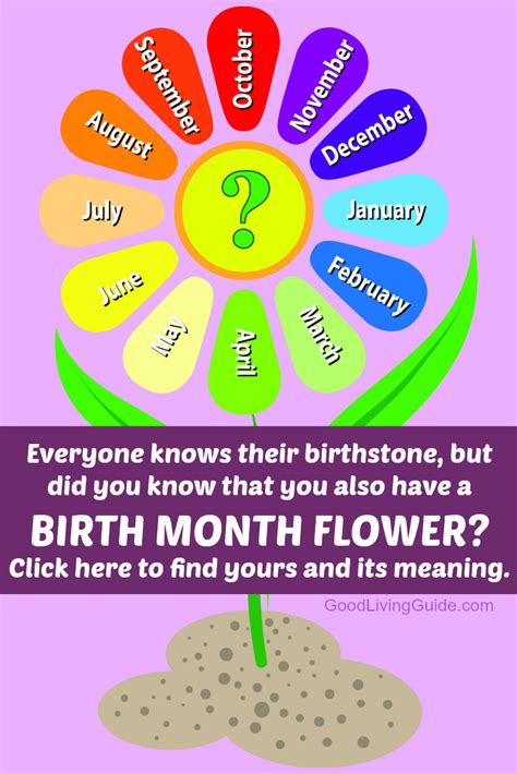 Birth Month Flowers And Their Meanings Good Living Guide