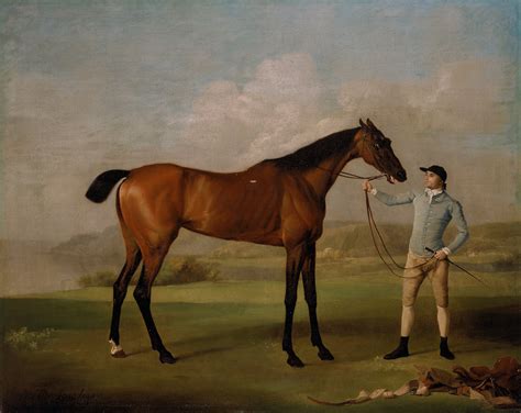 George Stubbs Birthday The Art Of Painting The Horse Jacksons Art Blog