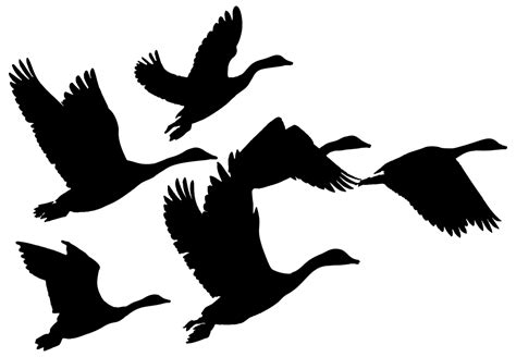 Goose Clipart Birds Flying High Goose Birds Flying High Transparent