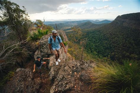 The Best Gold Coast Hinterland Hiking Trails To Explore Queensland