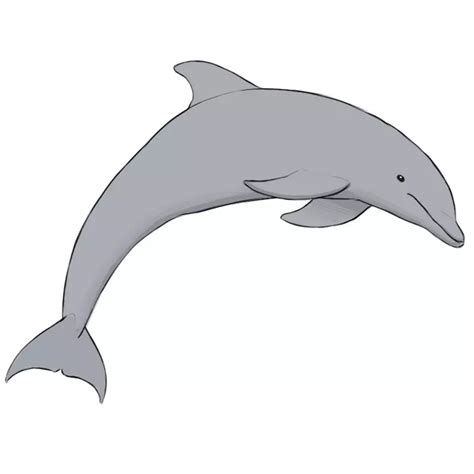 How To Draw A Dolphin Easy Drawing Art