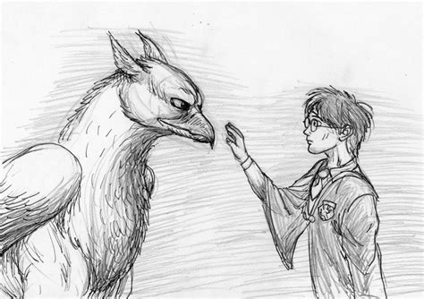 How To Train Your Hippogriff Easy Drawings Drawings Harry Potter