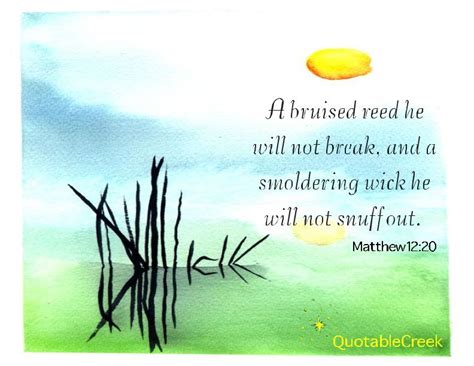 A Bruised Reed He Will Not Break And A Smoldering Weed He Will Not