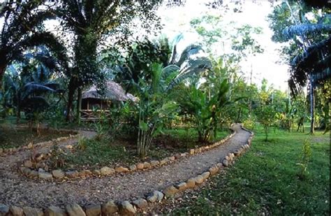 Caves Branch Jungle Lodge Belize Travel