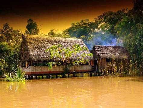 El río que no puedes tocar #aguaquemata. Rio Amazonas | Río amazonas, Amazonas peru, Amazonas