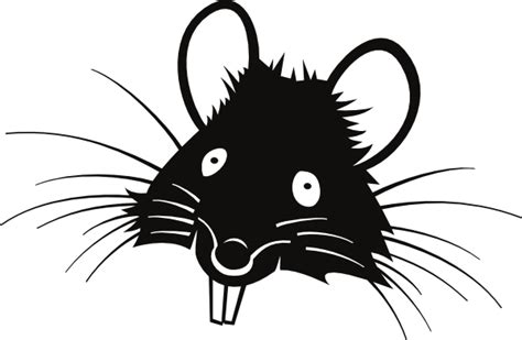 Rat Clipart Transparent 20 Free Cliparts Download Images On