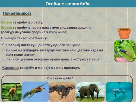 Ppt Osobine Zivih Bica Powerpoint Presentation Free Download Id