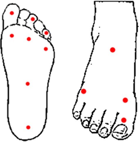 Locations Tested On Plantar Left And Dorsal Right Surface Of The Foot Download Scientific