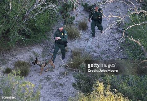 S Border Patrol K 9 Team Searches For Undocumented Immigrants Near