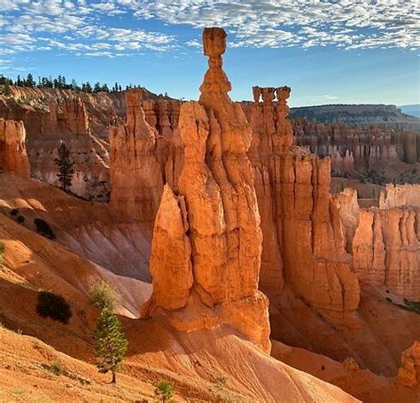 The 15 Best Things To Do In Bryce Canyon National Park 2024 With