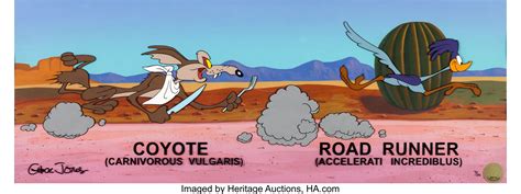 Wile E Coyote And Road Runner Looney Tunes Furry Looney