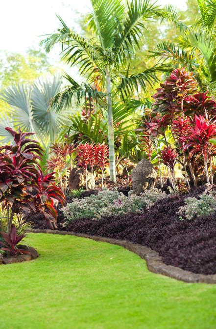 This forum is meant for those growing tropical plants, indoors and out, and also those gardening in tropical regions. 25+ Best Tropical Garden Design Ideas - Home and Gardens