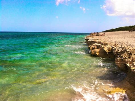 Are Dogs Allowed At Blowing Rocks Preserve