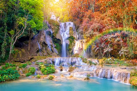 Fonds Decran Tropique Chute Deau Automne Tat Kuang Si Waterfalls Laos