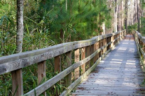 Alabama Jeff Friend Trail Location Bon Secour National Wildlife