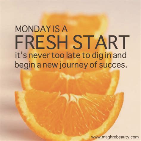 Monday Is A Fresh Start Its Never Too Late To Dig In And Begin A New