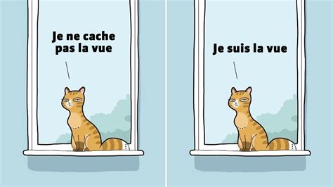 Cet Illustrateur Raconte Avec Humour Le Quotidien De Vivre Avec Un Chat