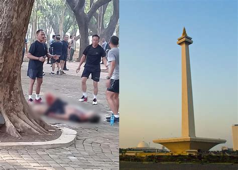 Granat Monas Kandungan Dan Dampak Kerusakan Bagi Tubuh Manusia