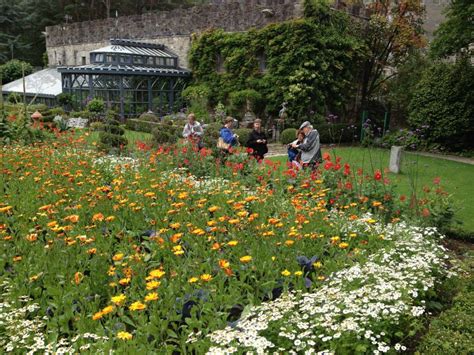 Glenveagh National Park Has Beautiful Flower Gardens Like Everywhere In