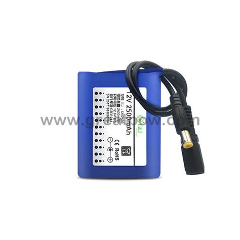 12v 2500mah 12v Dc Rechargeable Li Ion Battery Pack Portable For Wireless Transmitter Cctv