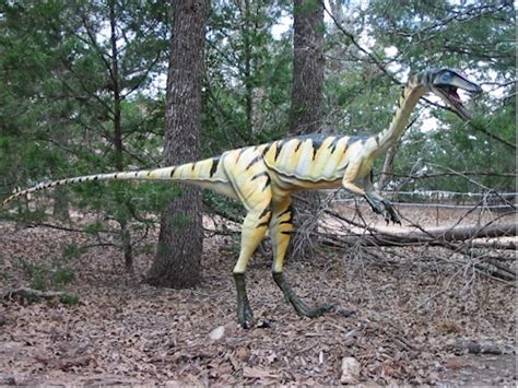 Coelophysis Dinosaur Park