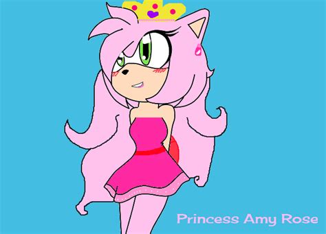 Princess Amy Rose By Tomboyishsoniclover On Deviantart