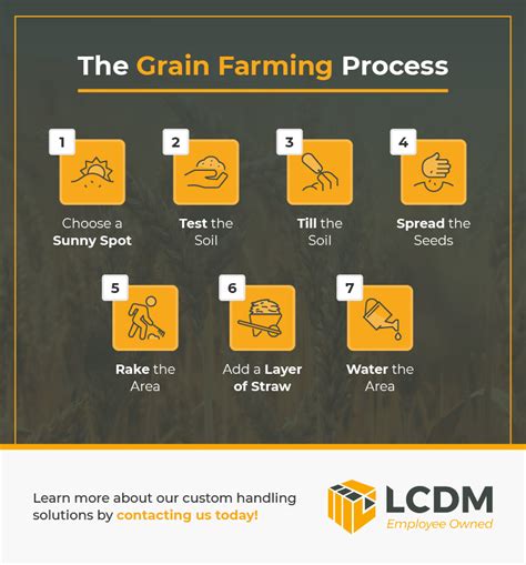 Grain Farming Process Commercial Grain Farming Lcdm