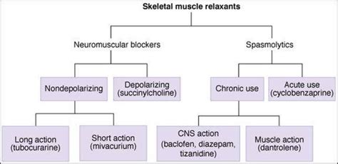 Skeletal Muscle Relaxants Katzung And Trevors Pharmacology Examination