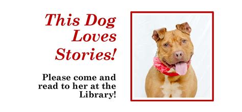 This Dog Loves Stories Newark Public Library