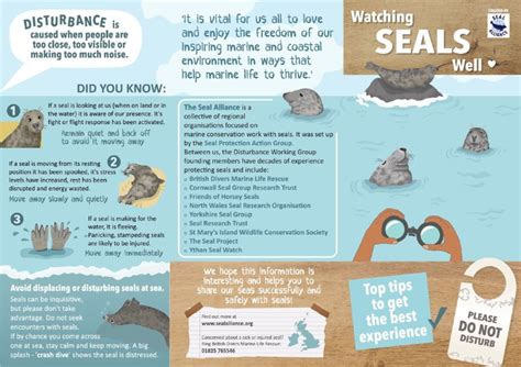 Four Easy Steps To Help Seals This Easter