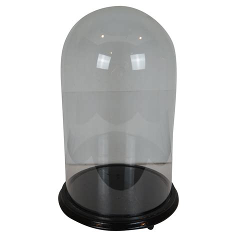 Victorian Glass Display Dome At 1stdibs
