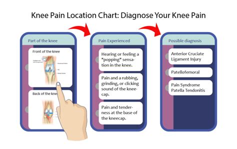 Knee Pain Location Chart Diagnose Your Knee Pain