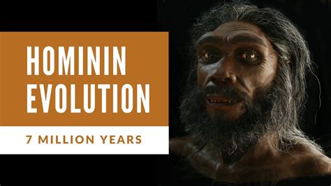 7 Million Years Of Human Evolution Youtube