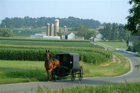 Amish Longevity May Be Due To Genetic ‘fountain Of Youth News Center