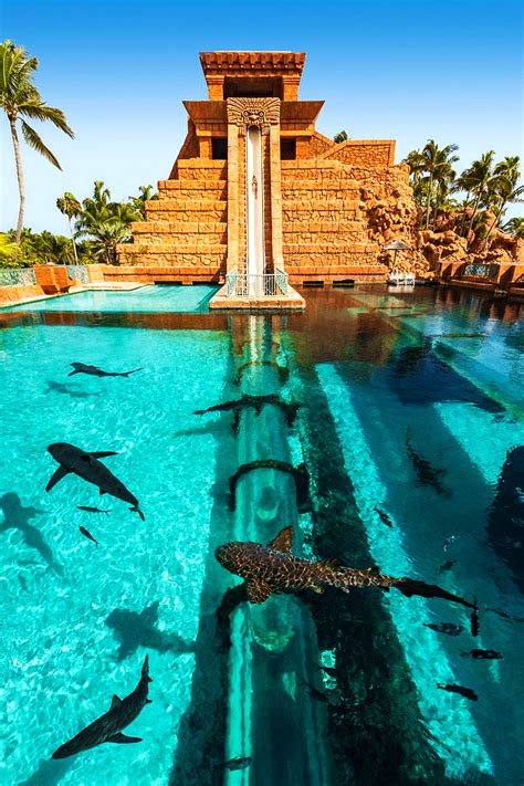 Enjoy 5 Days Of Saving And Discover Atlantis Bahamas