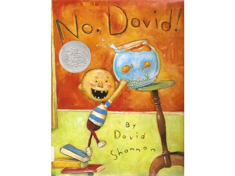 Popular Book Series For Ages 0 2 David Shannon No David Books